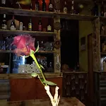 عطلات نيتشر نينو فيسوكو