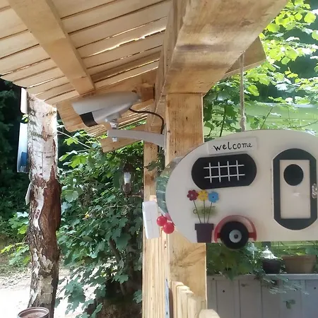 عطلات نيتشر نينو فيسوكو