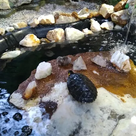 Nature Neno Prázdninový dům Visoko