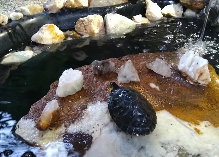 Nature Neno Prázdninový dům Visoko